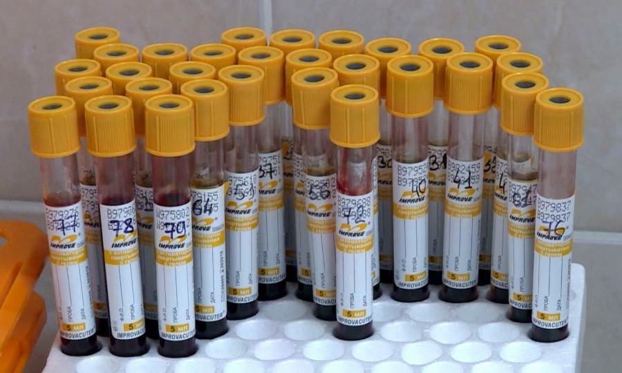 Ещё 8 новых случаев заражения коронавирусом в Поморье