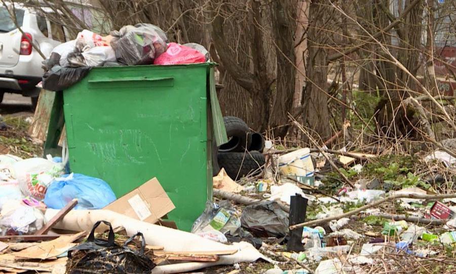 Архангельск и Новодвинск зарастают мусором