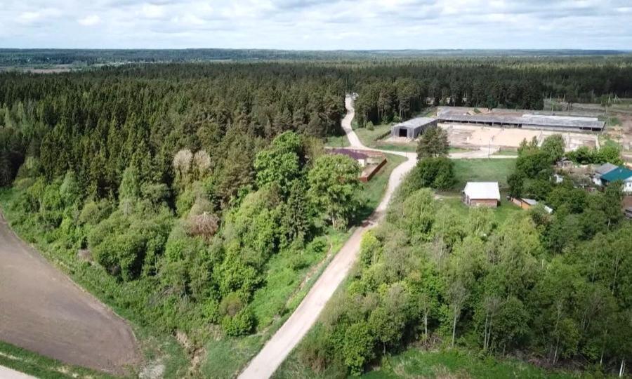 Реализацию программы сохранения лесов нацпроекта «Экология» обсудили на заседании областного Правительства