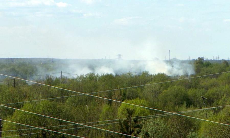Пожар локализован сегодня в Шенкурском лесничестве
