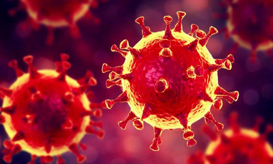 За последние сутки в регионе выявлено 72 новых случая заболевания коронавирусом